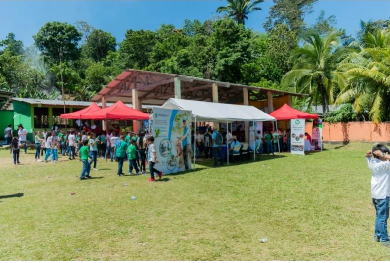Educación ambiental